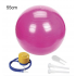 Yoga Ball 55 cm with pump Yoga Ball Fitness Ball